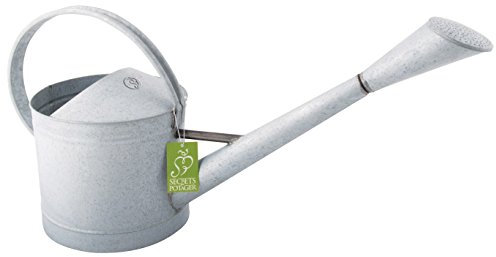 Esschert Design Gießkanne, silber, 63x20.7x29.2 cm, 4,623 L, W2024