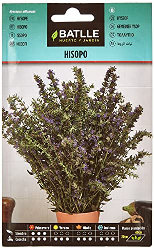 Semi di erbe di Batlle - Ysop Jasmine (Seeds - 50cm)