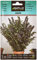 Semi di erbe di Batlle - Ysop Jasmine (Seeds - 50cm)