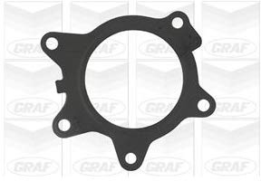 Graf PA864 Water Pump
