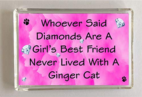 Ginger Cat Fridge Magnet Gift - Whoever Said Diamonds Girl's Best Friend Never Lived With - Fun Cute Pet Lover Xmas Birthday Present