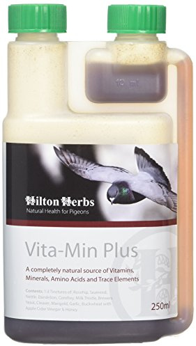Hilton Herbs Pigeon Vita-Min Plus 250 ml
