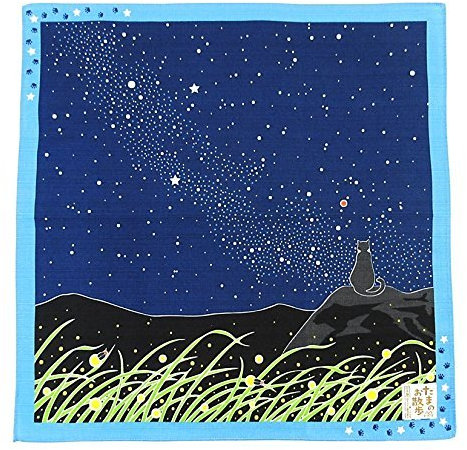 Tamanoosanpo Japanisches Geschenktuch (Furoshiki) – 48,3 x 48,3 cm – Katze: Milchstraße – zurück zur Schule