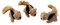 Outward Hound Squeakin' Squirrels - Plüsch-Eichhörnchen - Hundespielzeug - Ersatztiere - 3er-Pack