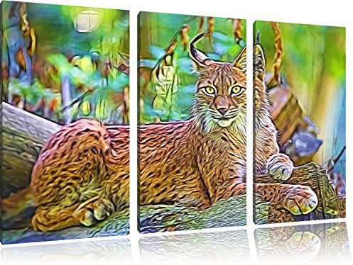 Pixxprint aufmerksamer Luchs, Leinwandbild 3 Teilig, Gesamtmaß: 120x80cm, Wandbild, Dekoration, fertig gespannt, Kein Poster