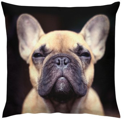 Artylicious Französische Bulldogge lächelndes Kissen