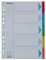Esselte Register für A4, 20er Pack, 5 Trennblätter mit Taben, Grau/Mehrfarbig, Recyclingkarton, 100191