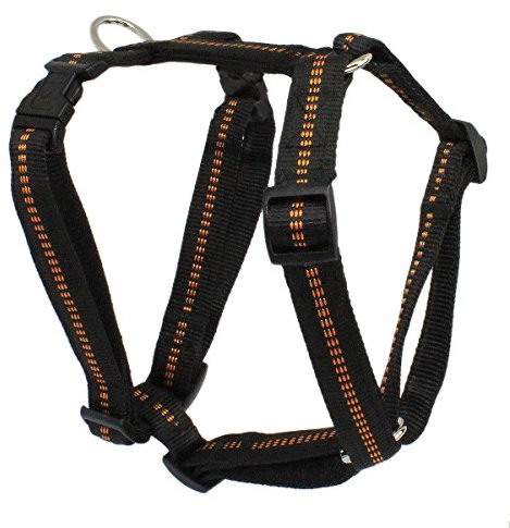 Koch G3657020 Nylon-Geschirr gepolstert stufenlos 5fach verstellbar mit Klickverschlüssen, L, schwarz