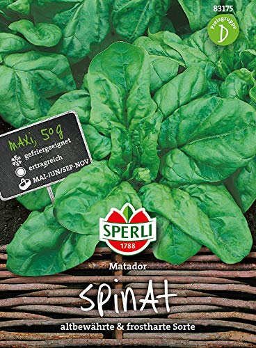 Sperli-Samen Spinat Matador (Maxipack 50g)