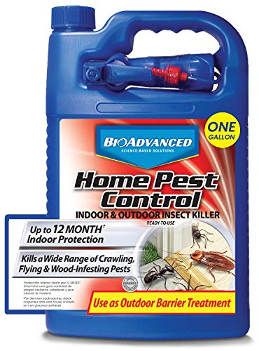 BioAdvanced Home Pest Control Indoor & Outdoor Insect Killer, Ready-to-Use, 1 Gal