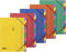 Brunnen 102025295 Ordnungsmappe FACT!plus (A4, 12-teiliges Register, Karton, sortiert)