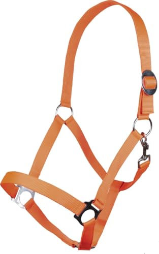 HKM Stars Economy Softice Halfter Orange Pony
