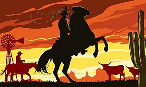 U24 Fahne Flagge Cowboy auf Pferd 90 x 150 cm