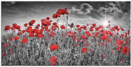 ARTland Wanddeko Wandbild Alu Verbundplatte für Innen & Outdoor Bild 100 x 50 cm Pflanzen Blumen Blumenwiese Mohnblume Rot Foto Schwarz Weiß Idyll Sonne S8HV