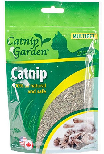 Multipet Gusseted Bag of Catnip - Natural & Safe Catnip Toys for Cats - Premium Treats for Adult Cats - Irresistible & Healthy Cat Toys (1oz)