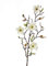 artplants.de Kunstblume Magnolienzweig LILO, 4 Blüten, Knospen, Creme - weiß, 75cm - Seidenblumen Magnolie - Kunstzweig