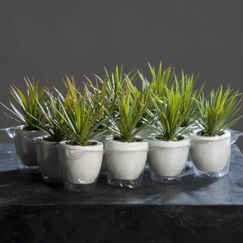 Agave Kaktus Kunstpflanze Sukkulente im Keramiktopf, 2-farbig sortiert, 18 cm
