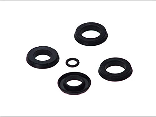 AUTOFREN SEINSA D1630 Reparatursatz Hauptbremszylinder Kompatibel mit MAZDA DEMIO DW B6Y44341Z B6Y44341ZA GE4V4361Z