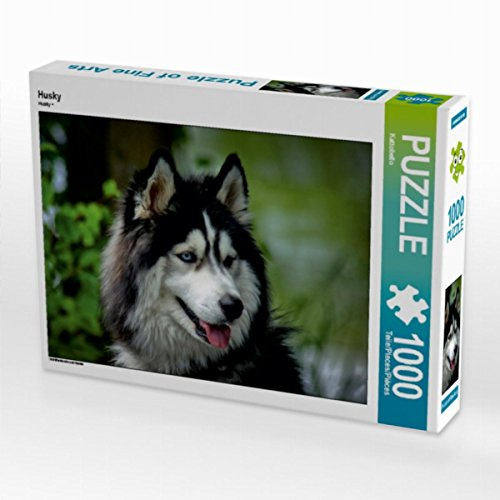 CALVENDO Puzzle Husky | 1000 Teile Lege-Größe 64 x 48 cm Foto-Puzzle für glückliche Stunden