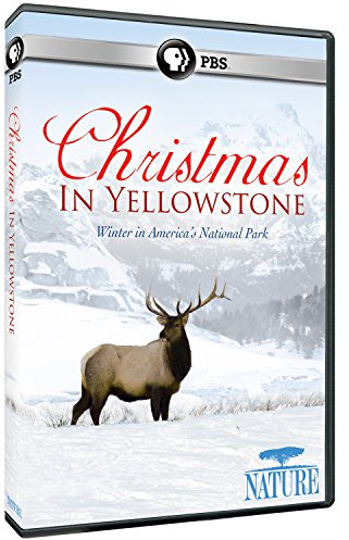 Nature: Christmas in Yellowstone