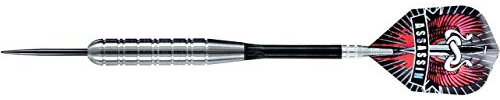 36g Ringed Harrows Assassin Heavy Tungsten Darts Set