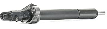 DELPHI R06001D-12B1 Einspritzventil Kompatibel mit CITROËN C5 III Kombi RW 1980K3 1980S3 1980W6