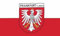 U24 Fahne Flagge Frankfurt am Main 90 x 150 cm