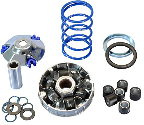 Variator Polini SUPER Speed 9 Evolution 2010 für Piaggio/Gilera (D:14,8) | Variostumpf 14,8 mm, 6 Rollen 19 x 15,5 mm, 2 Rollensätze 3,8 oder 4,3 g kompatibel mit Gilera Runner 50 Bj. 1999 - 2000