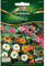 Zinnien, Profusion Mix