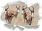 Stil.Zeit Tiere in Savanne Rehe Afrika, Papier 3D-Wandsticker Format: 62x45 cm Wanddekoration 3D-Wandaufkleber Wandtattoo