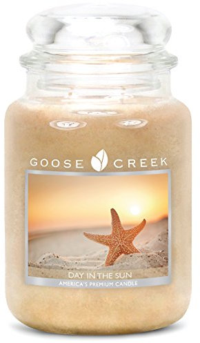 Goose Creek Tag in der Sonne Kerze Jar, cremefarben, 24 oz