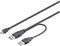Goobay 93587 Câble Hi-Speed Dual-Power USB 2.0, Noir, 0.6m Longueur