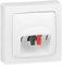 Legrand 086039 Prise Haut Parleur Appareillage Saillie Complet, Blanc, Lot de 10