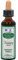 Dr Bach Bach Recovery Remedy Plus 20ml