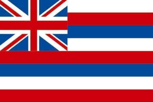 U24 Motorradflagge Hawaii Fahne Flagge 20 x 30 cm