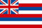 U24 Motorradflagge Hawaii Fahne Flagge 20 x 30 cm