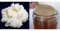 Pack 40g de Granules de Kéfir de Lait + Disque SCOBY Kombucha + Instructions + Recettes + Aide et conseils en français - KEFIRALIA®