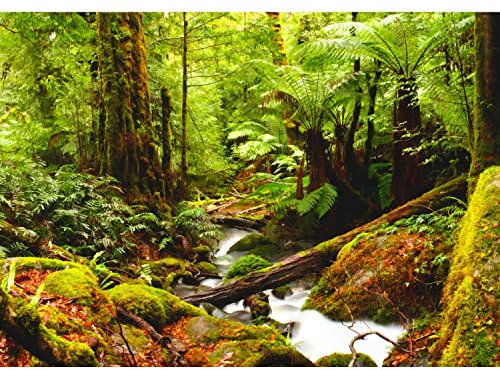 Runa Art Papier peint intissé forêt rivière 352 x 250 cm Toison Mur XXL Tableaux Muraux Tapisserie Photo Décoration Murale Salon Chambre vert 9037011b