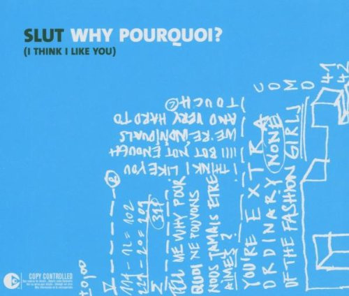 Why Pourquoi (I Think I Like Y