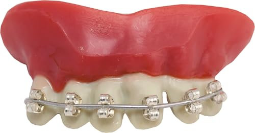 P'TIT CLOWN - Dentier Appareil Dentaire - Parfait pour Déguisement d'halloween, Carnaval, Fêtes Costumées et Évènements à Thème