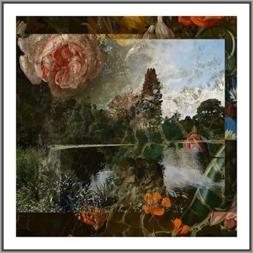 Ecologies