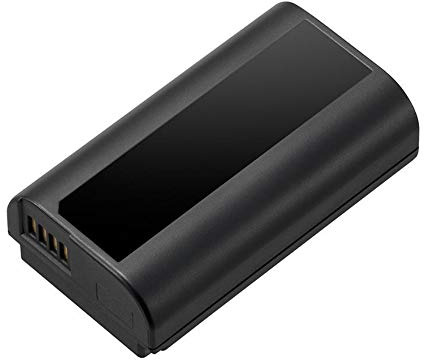 Panasonic LUMIX DMW-BLJ31 Lithium-ion Battery for Panasonic LUMIX S Series Mirrorless Cameras