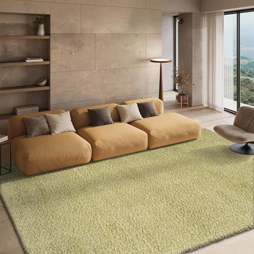 SAFAVIEH Area Rug 8x10 - California Shag Collection - Large - Green, Non-Shedding & Easy to Clean, Ultra Plush Thick Pile, Ideal for Living Room, Bedroom, Dining Space (SG151-5252)
