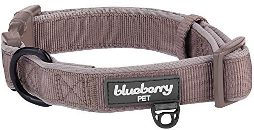 Blueberry Pet Weich & Angenehm Solide Gearbeitetes Klassisches Neopren Gepolstertes Hundehalsband in Bieber-Braun, L