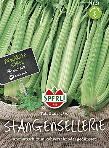 Stangensellerie Tall Utah 52/70, aromatisch, zum Rohverzehr geeignet, Inhalt für ca. 200 Pflanzen