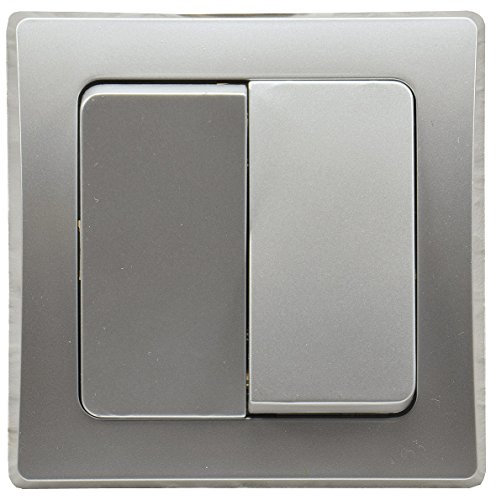Delphi - Interruptor de Pared con Marco de 250 V/10 A, empotrable, Color Plateado y Gris