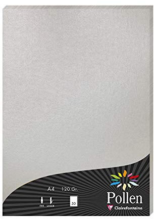 Clairefontaine 4199C Packung mit 50 Blatt Pollen, DIN A4, 210 x 297 mm, 120g, Silber