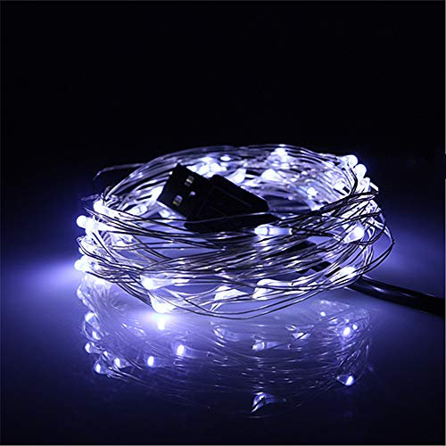 BUYERTIME Guirlande lumineuse de 5 m avec 50 LED alimentée par USB - Fil argenté - Pour décoration de chambre à coucher, mariage, fête de Noël - Blanc froid