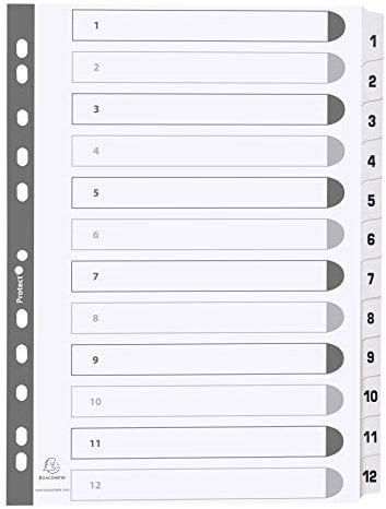 Exacompta MWD1-12Z Karton-Register 1-12 für DIN A4 aus Karton 12-teilig volle Höhe 21 x 29,7 cm weiß, verstärkte Taben mit Indexseite Trennblätter Trennstreifen Ordner-Register