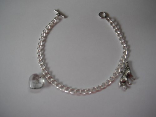 Twilight Saga inspiriert Bella 's Charm Armband